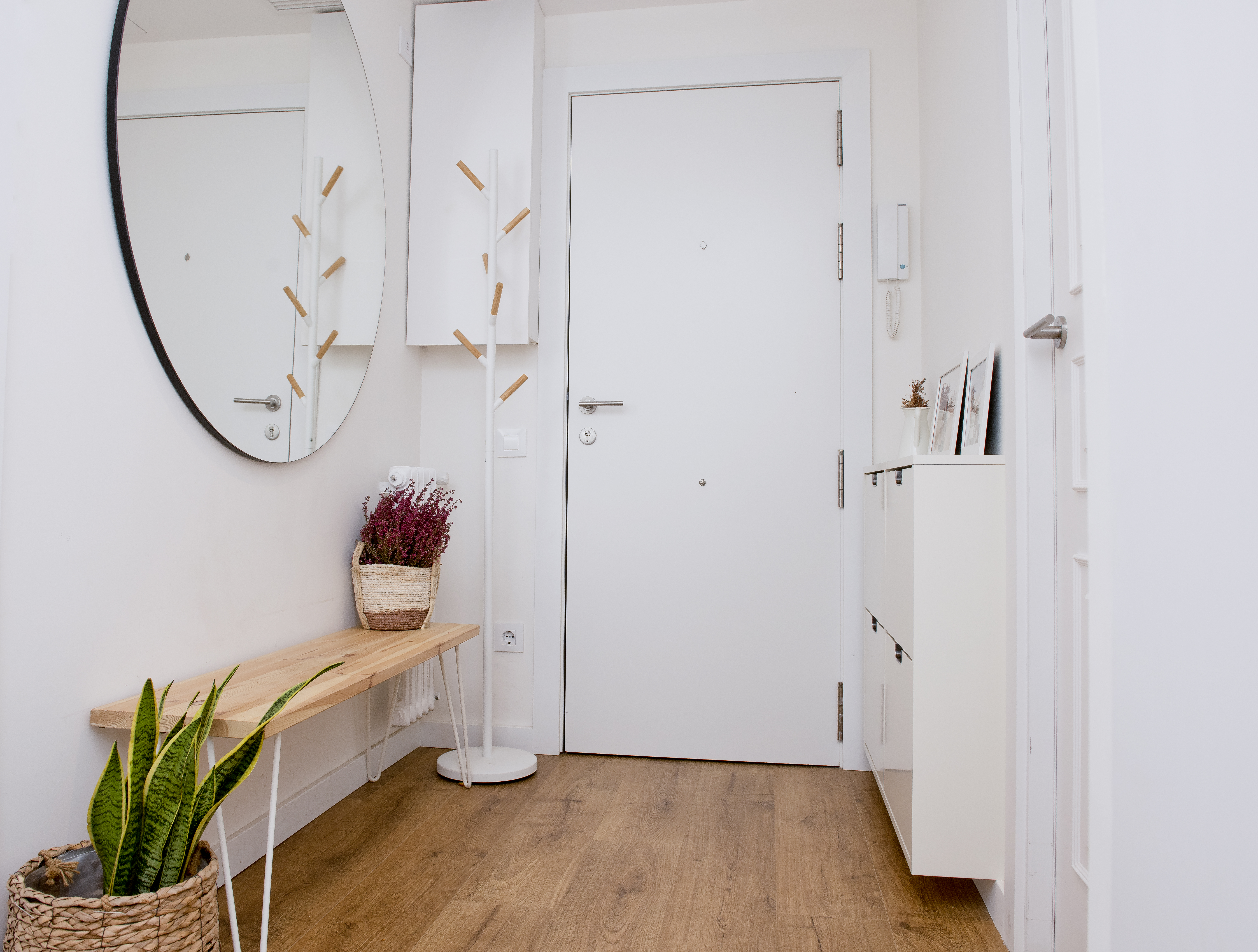 Mar L Prat - Projecte Balmes (5)